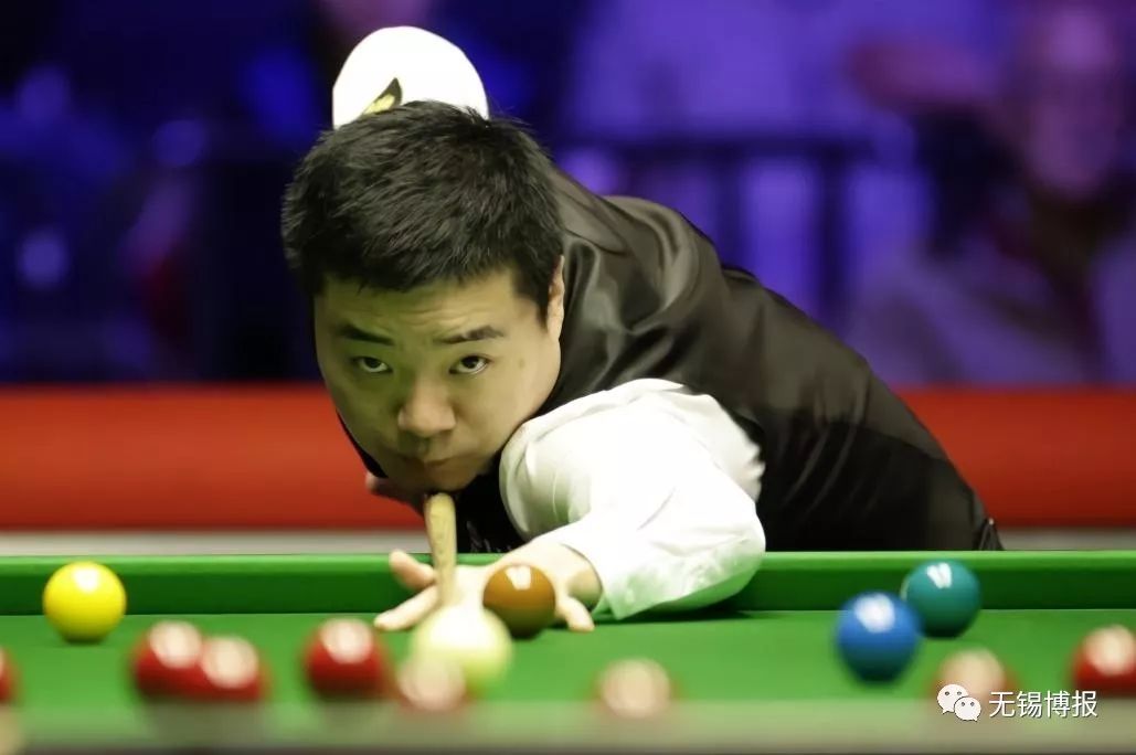 展现了极高 展现了极高