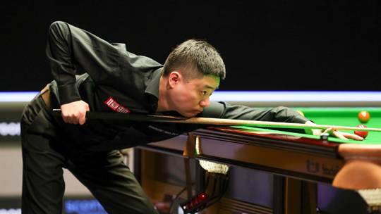 议不仅帮助 议不仅帮助