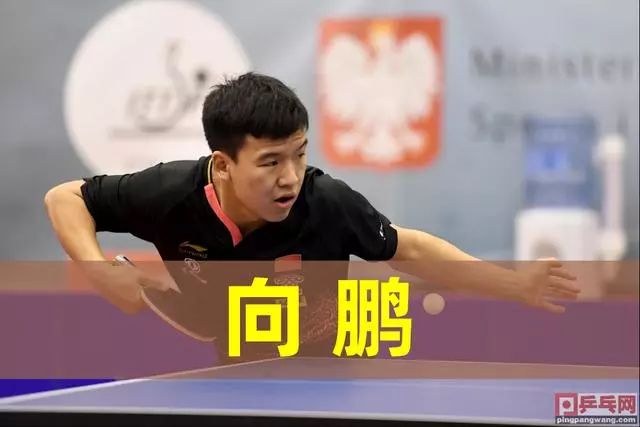 的坚实屏障 的坚实屏障